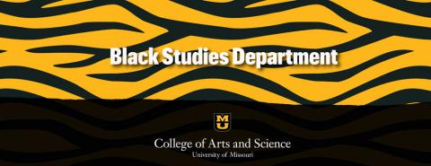 Black Studies banner